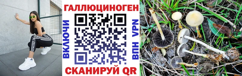 Галлюциногенные грибы GOLDEN TEACHER  сайты даркнета как зайти  Удомля  сколько стоит 